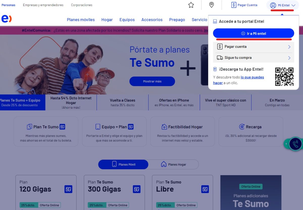 pagina web de entel chile