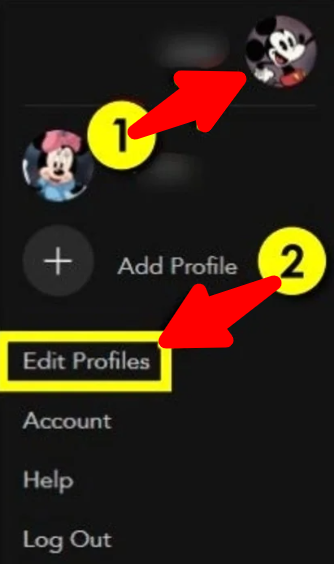 Editar perfiles de Disney Plus