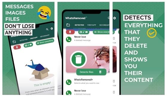 whatsappremoved+